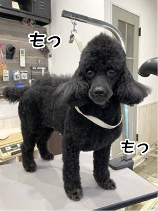 ラム・レーズン君☺ ラム・レーズン君☺