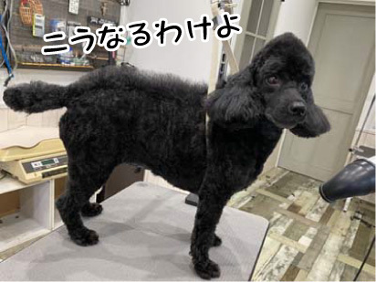 ラム・レーズン君☺ ラム・レーズン君☺