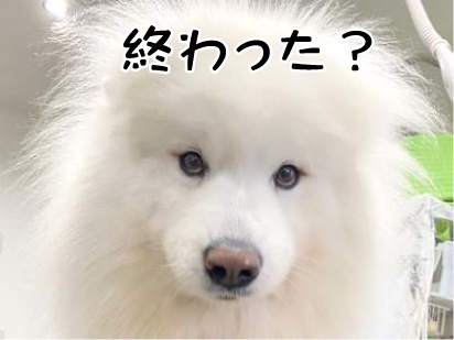 さくらちゃん☺ さくらちゃん☺