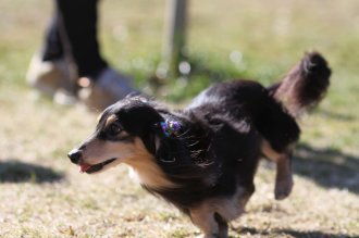 にゃは・・