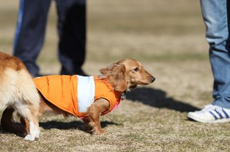 にゃは・・