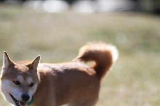 にゃは・・