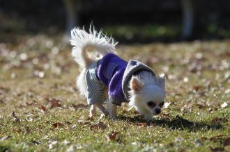 にゃは・・