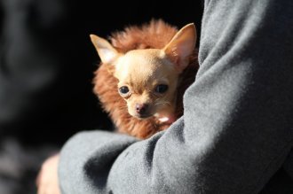 にゃは・・