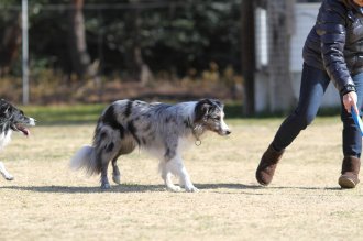 真面目な顔が。。