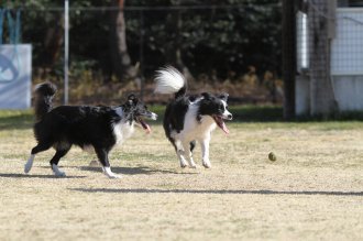 真面目な顔が。。