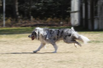 真面目な顔が。。