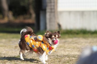 真面目な顔が。。