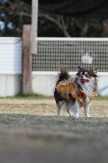 真面目な顔が。。