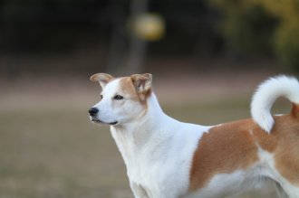 真面目な顔が。。