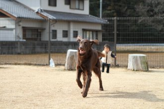 ぼっちの旅行記。。