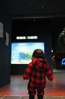 ぼっちの旅行記。。