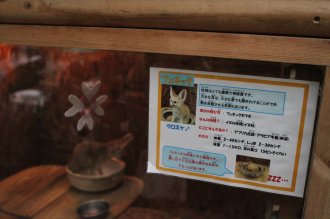ぼっちの旅行記。。