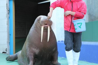 ダジャレ館・・・