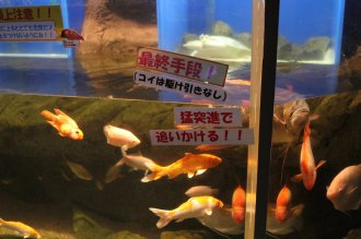 ダジャレ館・・・