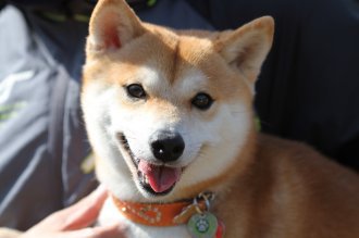 週末のなんだよ~。。。