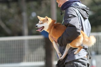 週末のなんだよ~。。。
