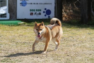 週末のなんだよ~。。。