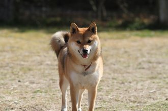 週末のなんだよ~。。。