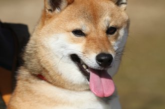 週末のなんだよ~。。。
