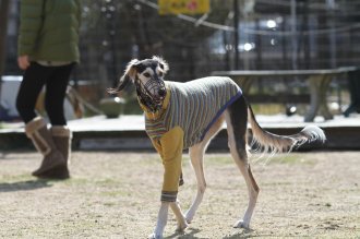 週末のなんだよ~。。。