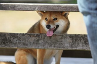 週末のなんだよ~。。。
