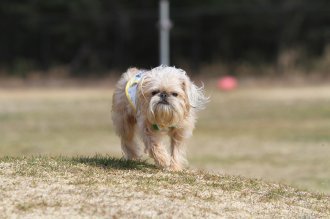 週末のなんだよ~。。。