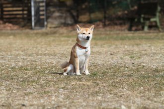 週末のなんだよ~。。。