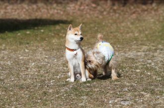 週末のなんだよ~。。。