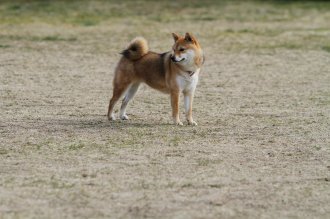 週末のなんだよ~。。。