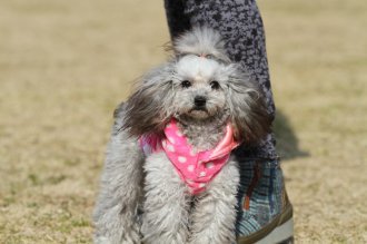 週末のなんだよ~。。。