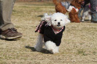 週末のなんだよ~。。。