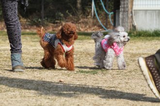 週末のなんだよ~。。。