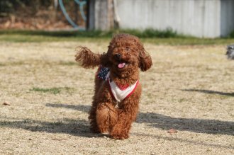 週末のなんだよ~。。。