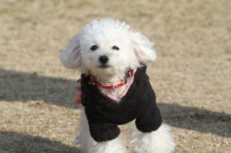 週末のなんだよ~。。。