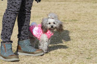 週末のなんだよ~。。。