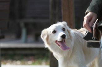 週末のなんだよ~。。。