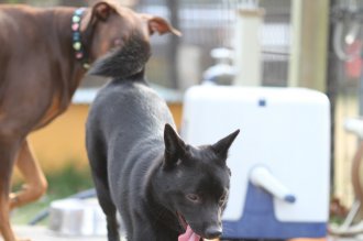週末のなんだよ~。。。