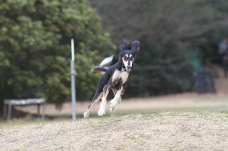 週末のなんだよ~。。。