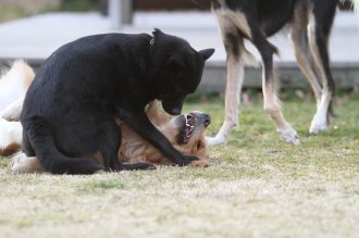 週末のなんだよ~。。。