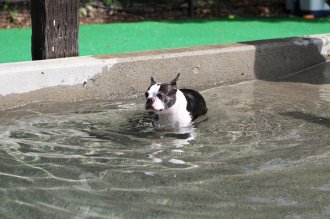 チラッ♪ チラッ♪