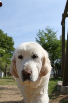 チラッ♪ チラッ♪