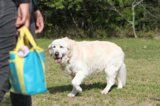 チラッ♪ チラッ♪