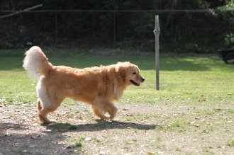 チラッ♪ チラッ♪