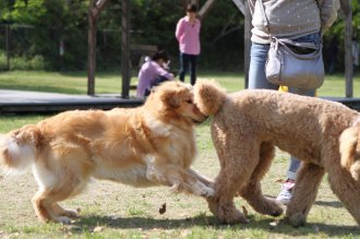 チラッ♪ チラッ♪