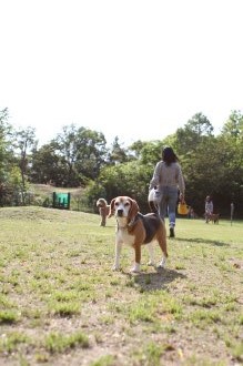 チラッ♪ チラッ♪