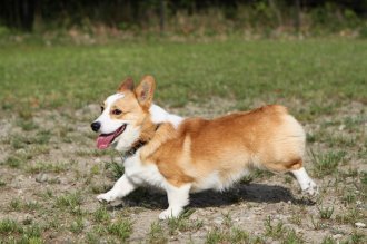 チラッ♪ チラッ♪