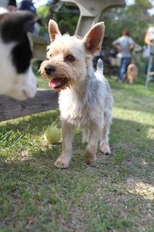 チラッ♪ チラッ♪