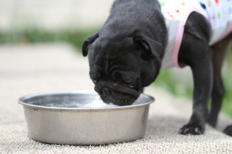 終わったと思ったら・・ 終わったと思ったら・・