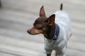 終わったと思ったら・・ 終わったと思ったら・・